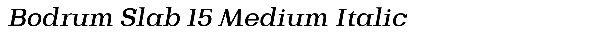 Bodrum Slab 15 Medium Italic image